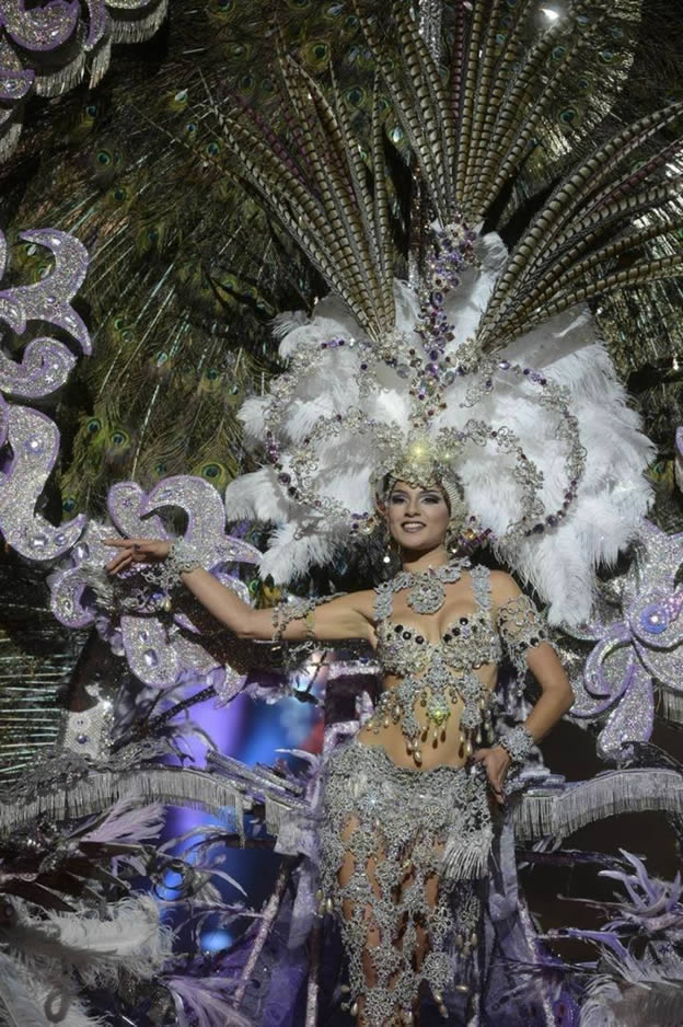 airvema patronicador de la candidata a reina del carnaval 2014
